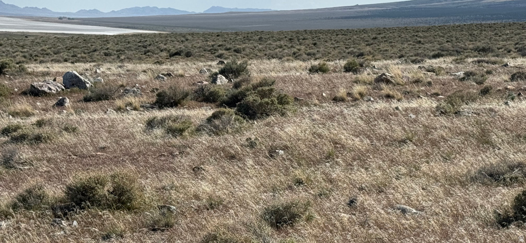  Grouse Creek, UT 84313