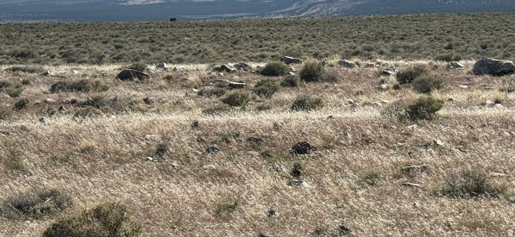  Grouse Creek, UT 84313