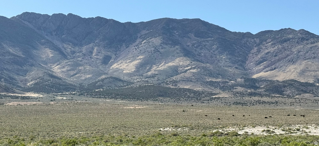 Grouse Creek, UT 84313