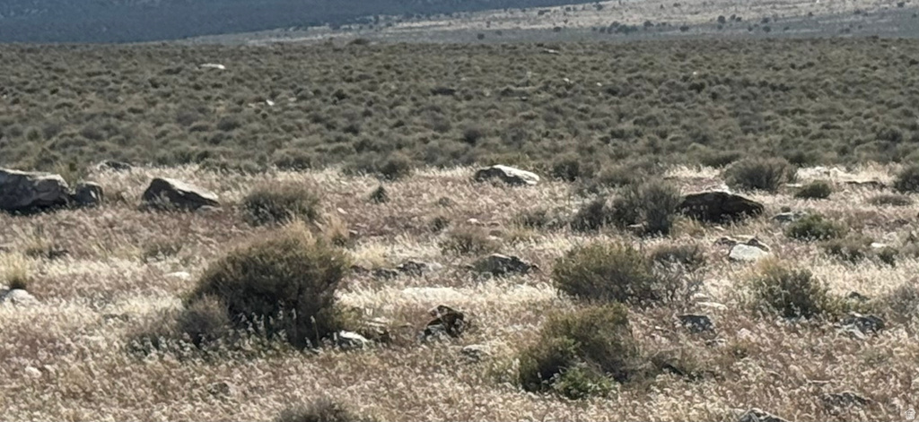  Grouse Creek, UT 84313
