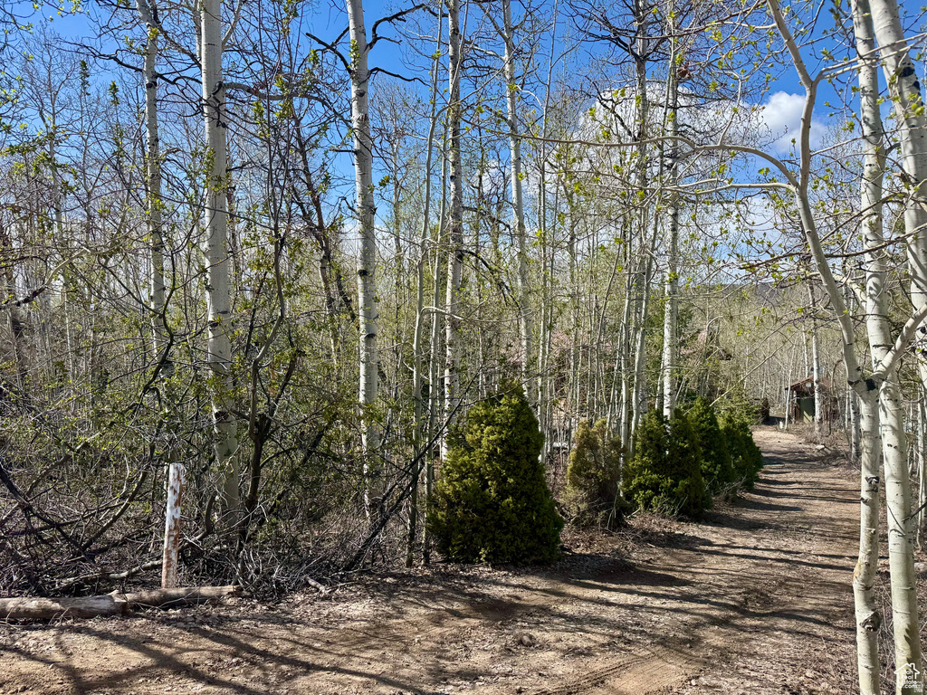 10737 E TANGLEWOOD DR #630 Heber City, UT 84032