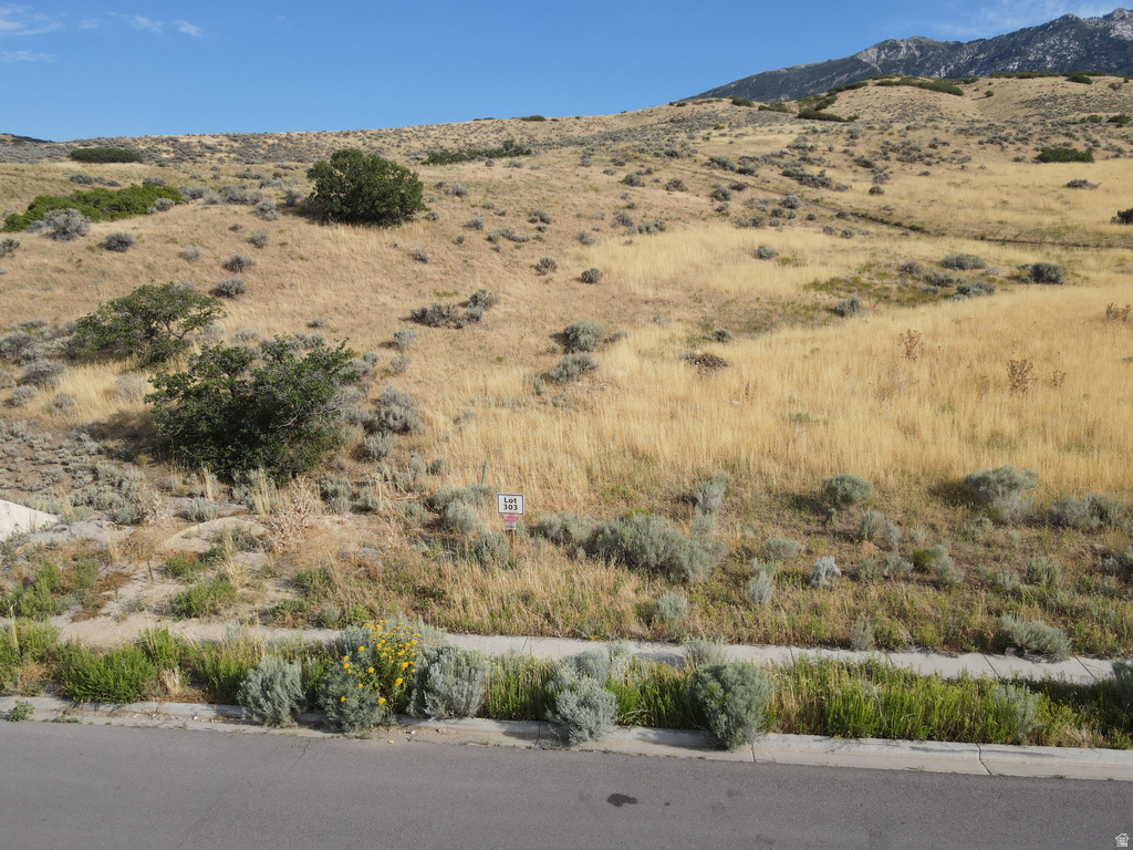 102 E DEER LN Alpine, UT 84004