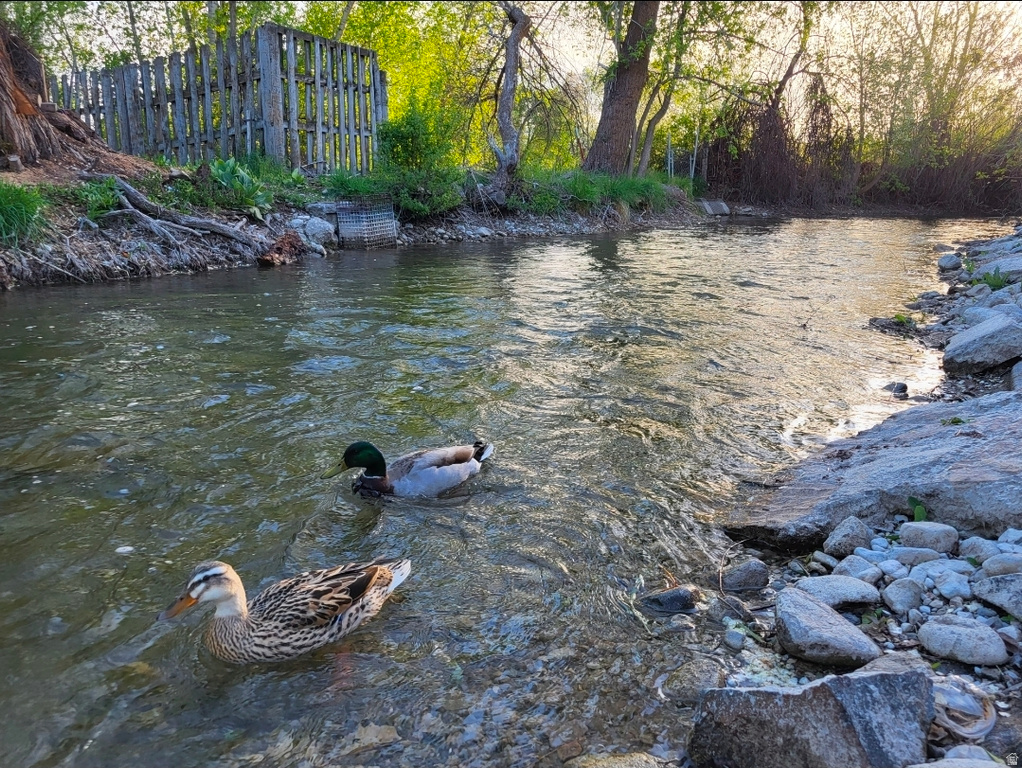 606 E LERUISSEAU DR Logan, UT 84321