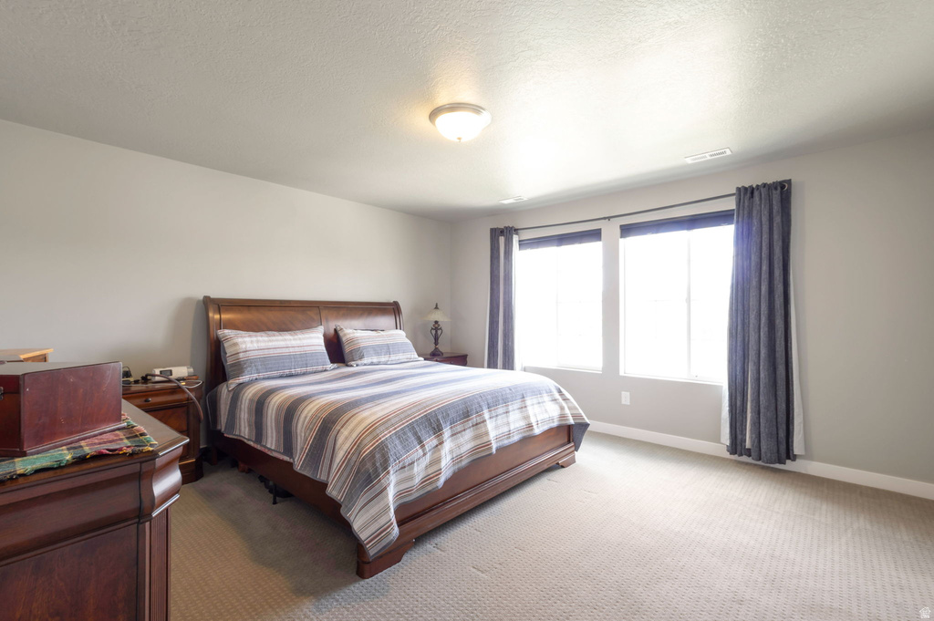 2949 S GRAHAM PEAK DR Magna, UT 84044