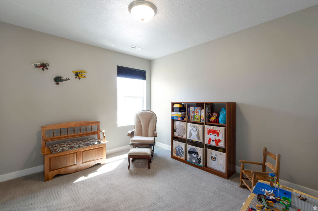 2949 S GRAHAM PEAK DR Magna, UT 84044