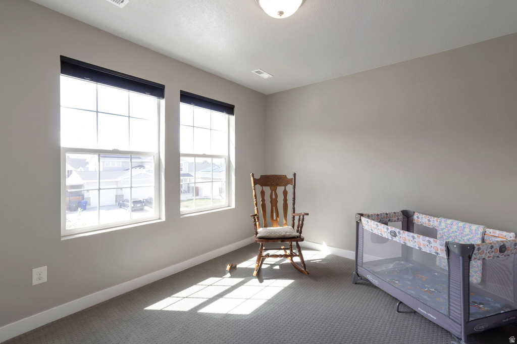 2949 S GRAHAM PEAK DR Magna, UT 84044