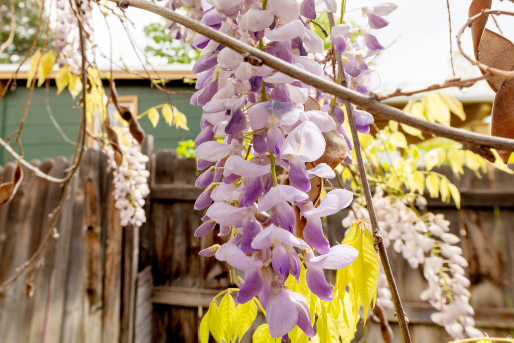 1122 E WESTMINSTER AVE Salt Lake City, UT 84105