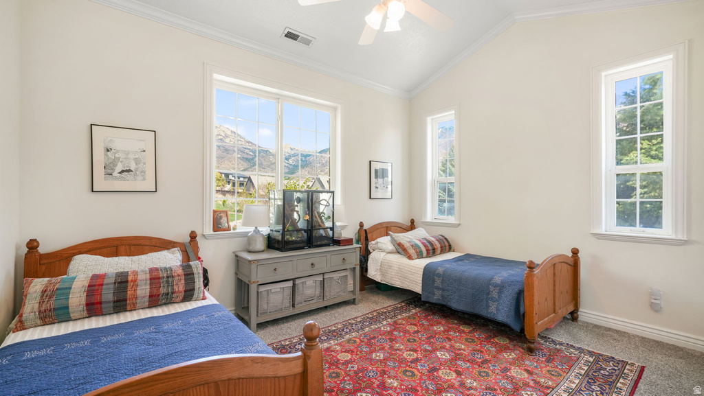 243 EASTVIEW DR #6 Alpine, UT 84004