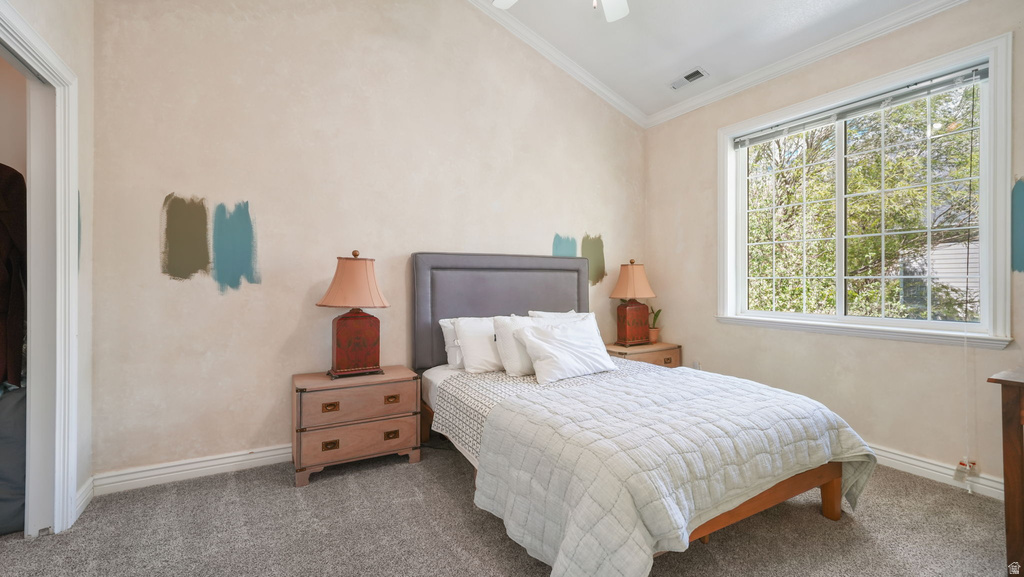 243 EASTVIEW DR #6 Alpine, UT 84004