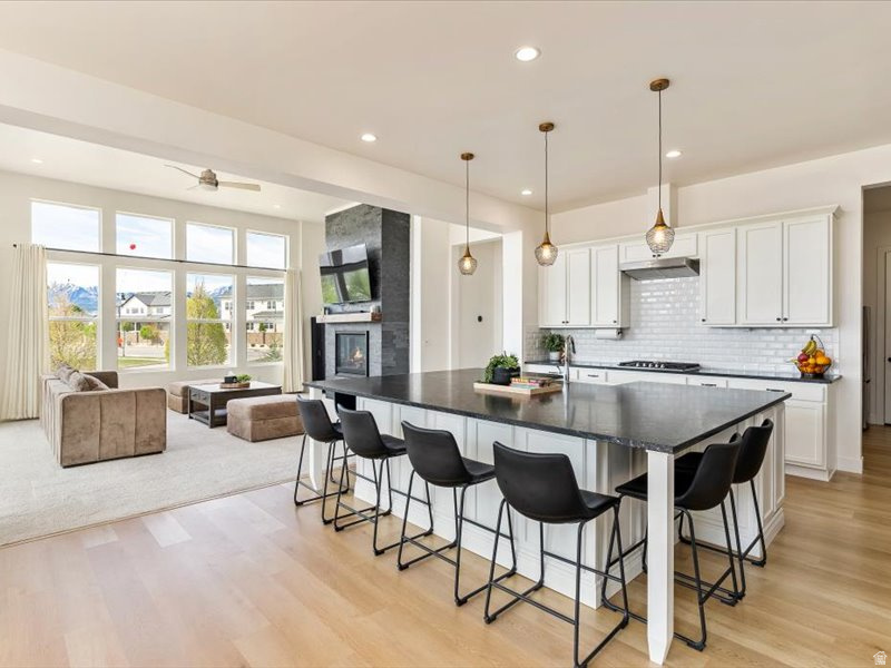 12306 S ELENA CANYON COVE Herriman, UT 84096