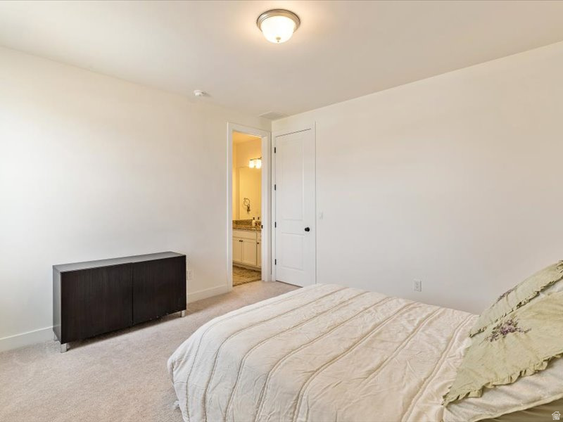 12306 S ELENA CANYON COVE Herriman, UT 84096