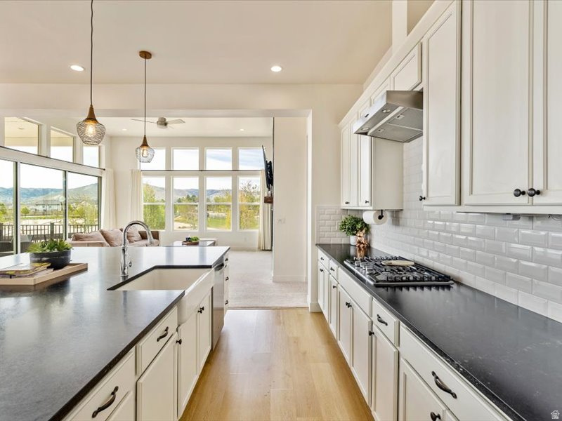 12306 S ELENA CANYON COVE Herriman, UT 84096