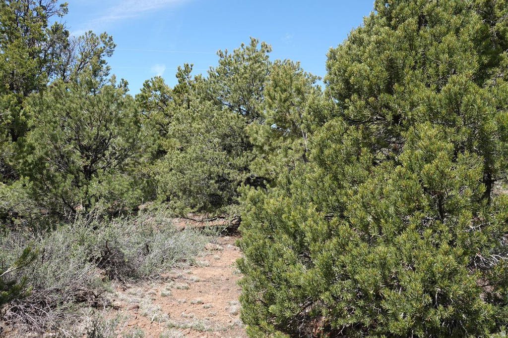 4700 N MOQUI ST Boulder, UT 84716