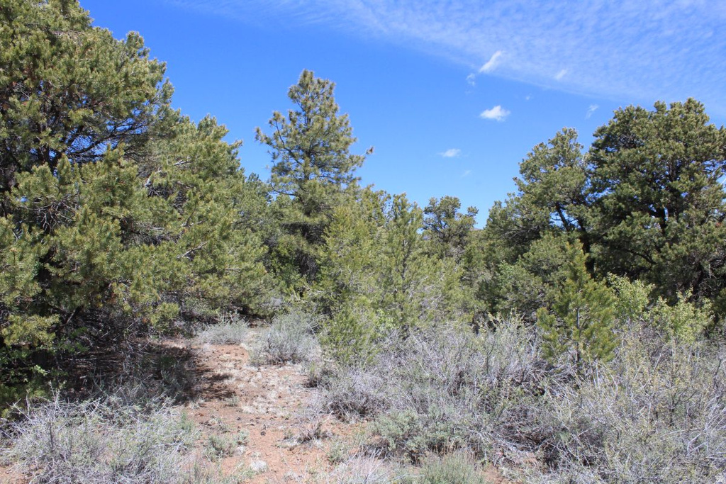 4700 N MOQUI ST Boulder, UT 84716