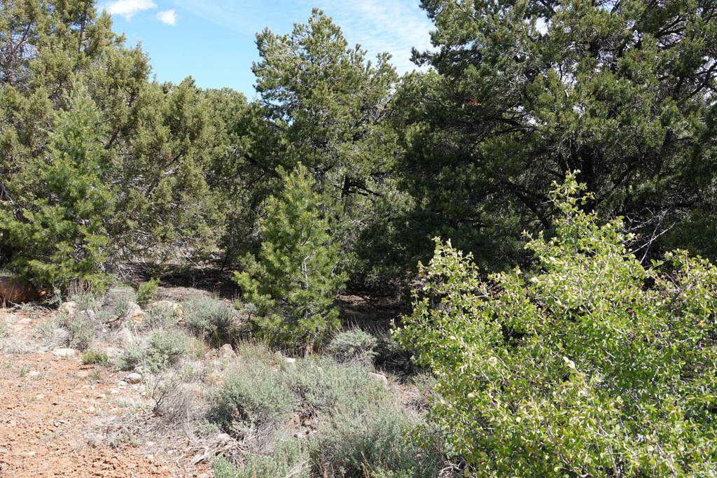 4700 N MOQUI ST Boulder, UT 84716