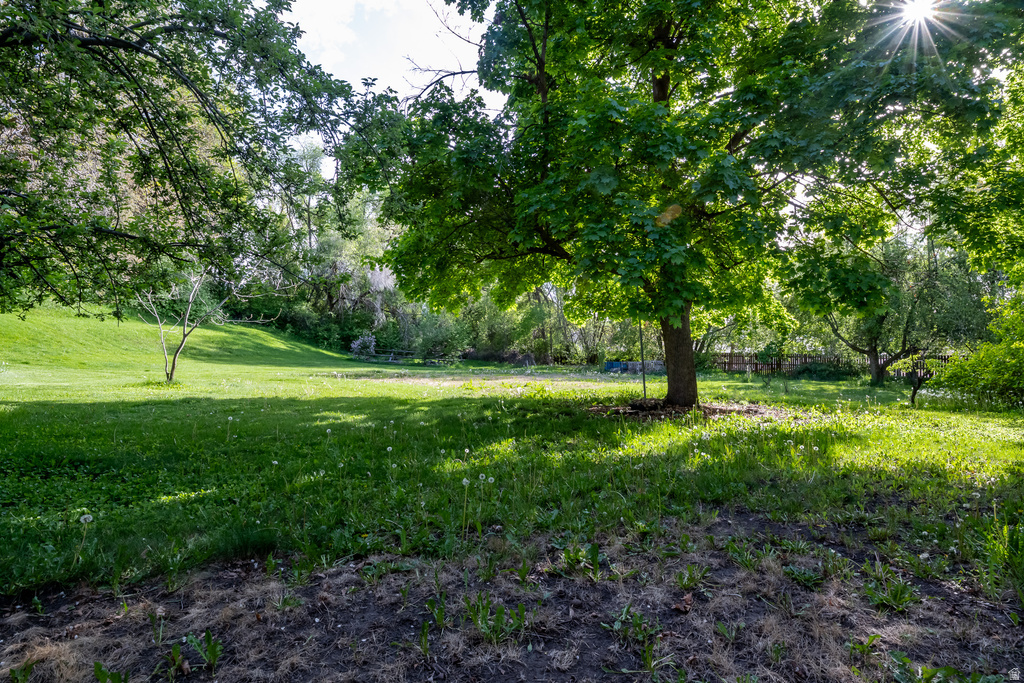 3424  IOWA AVE Ogden, UT 84403