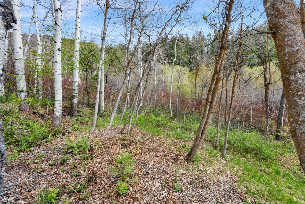 7188 E PARKER RD #320 Salt Lake City, UT 84109
