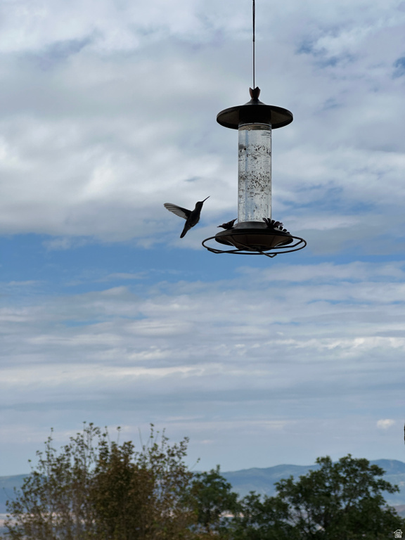  Mt Pleasant, UT 84647