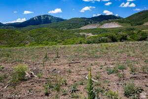 1653 W LEO CT Heber City, UT 84032