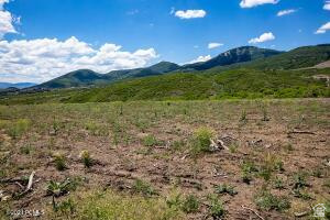 1653 W LEO CT Heber City, UT 84032