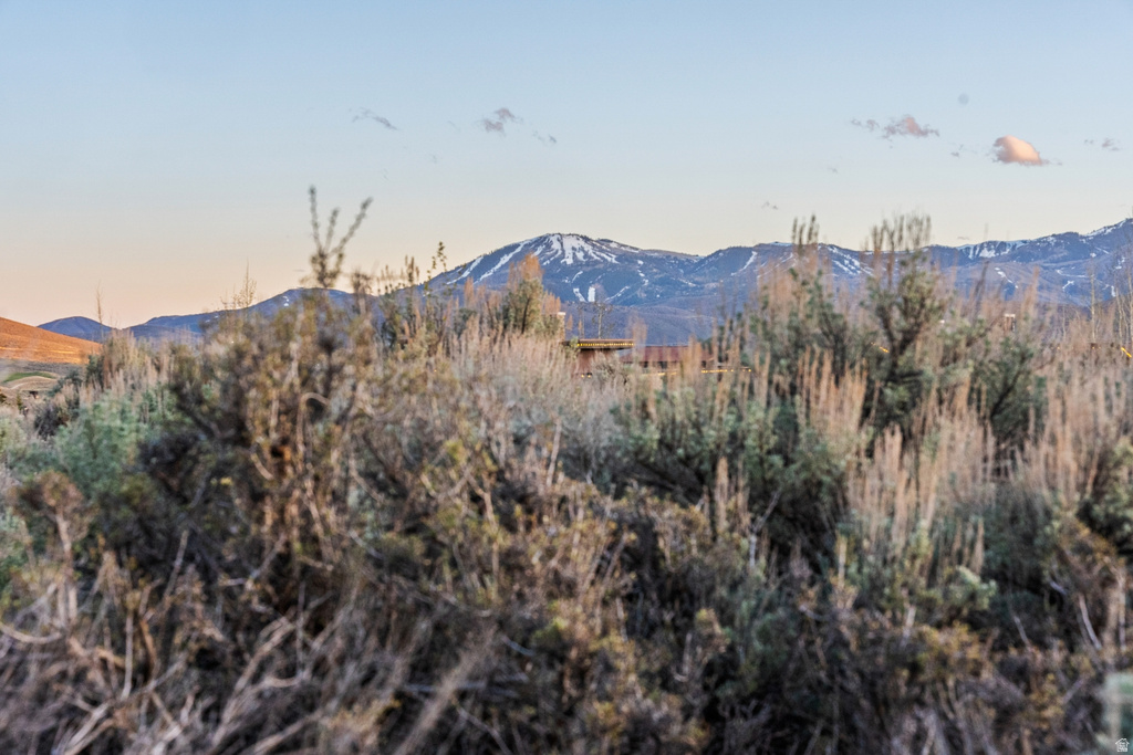 2650 E CLIFF ROSE CT Park City, UT 84098