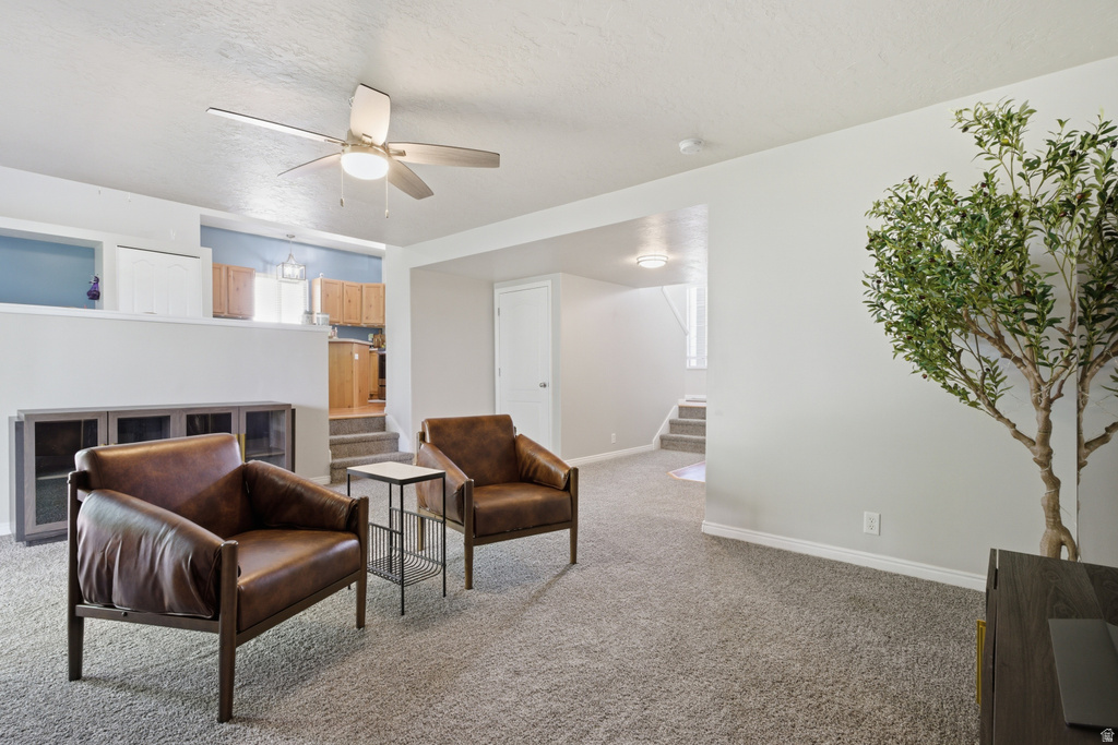 915 N 1380 E Tooele, UT 84074