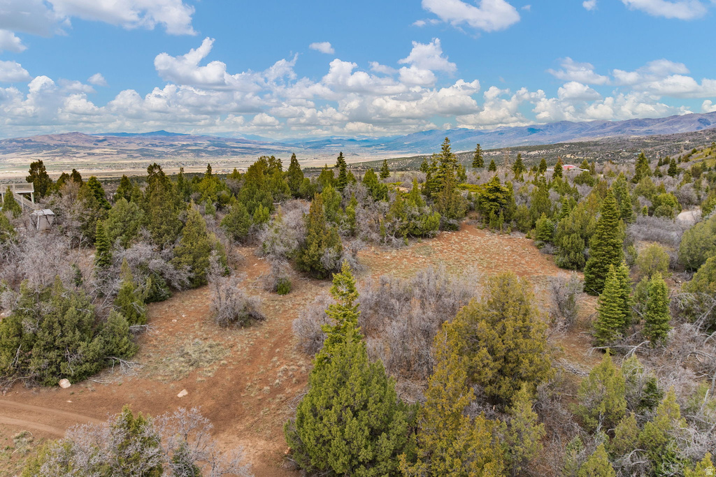 116 N OAK CREST DR Mt Pleasant, UT 84647