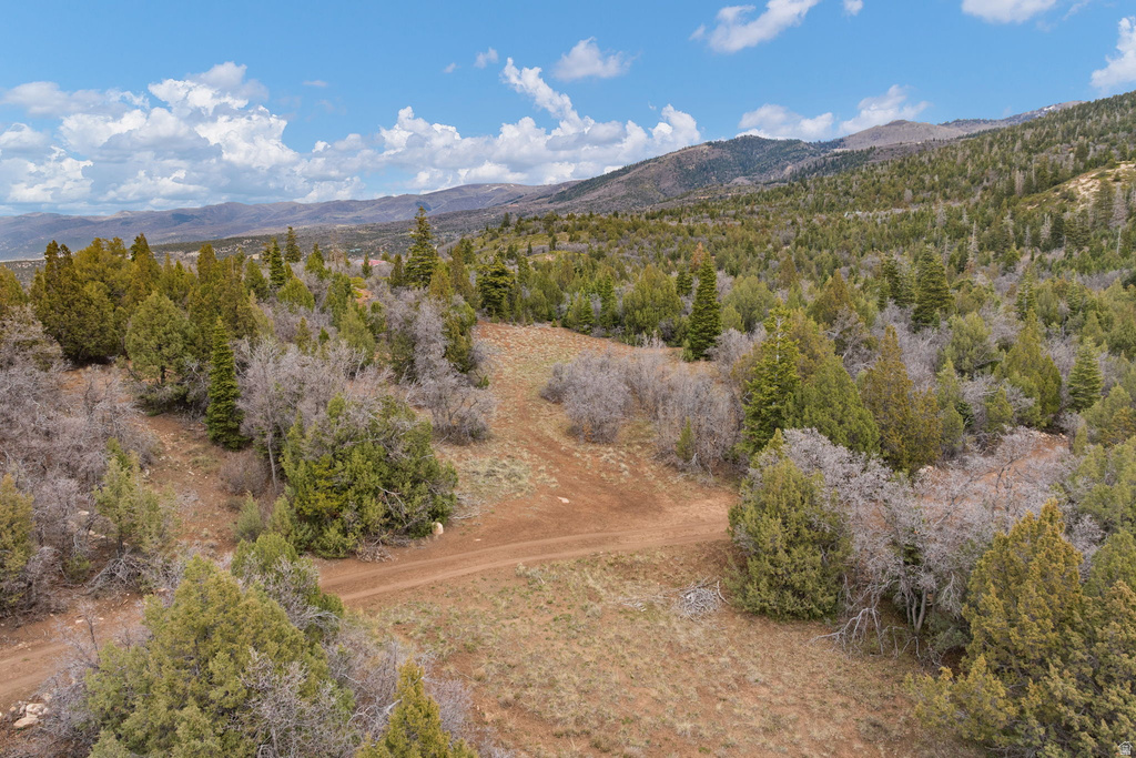 116 N OAK CREST DR Mt Pleasant, UT 84647