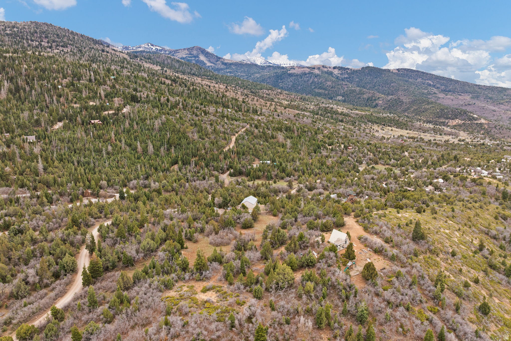 116 N OAK CREST DR Mt Pleasant, UT 84647