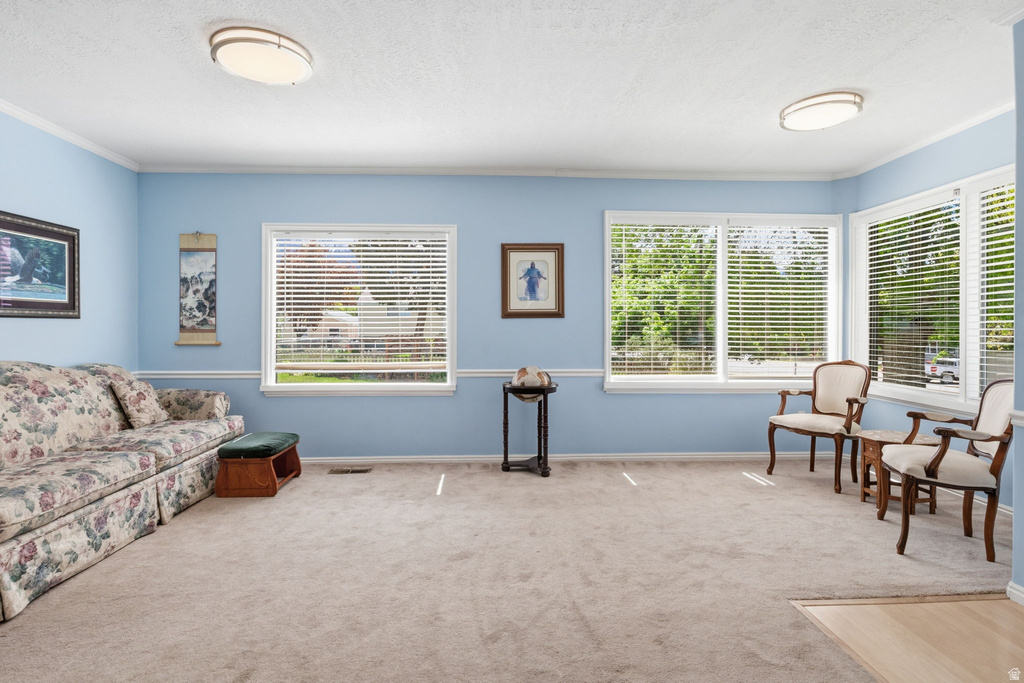 141 S MAIN ST Salem, UT 84653