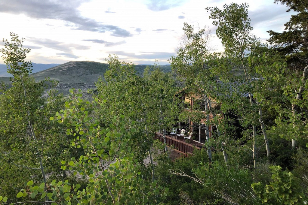 8249 S BRISTLECONE DR #54 Heber City, UT 84032