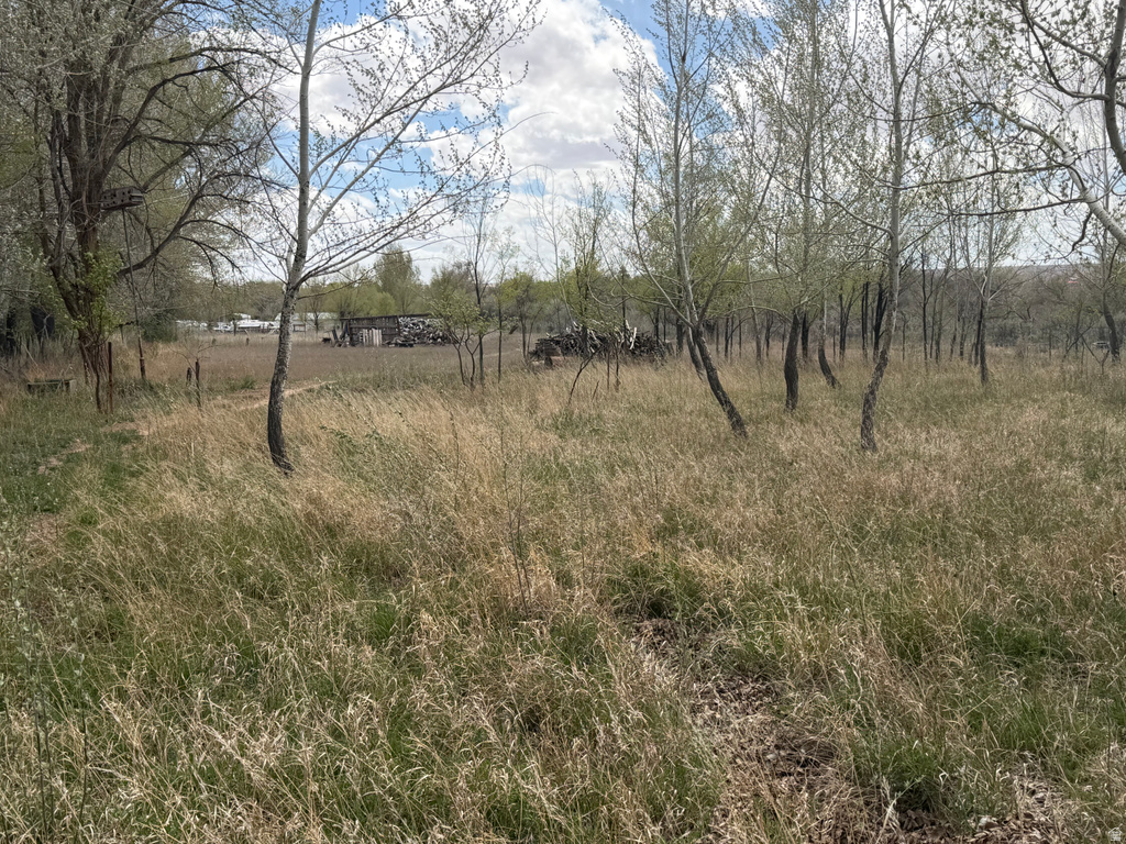 10429 E 4TH ST Randlett, UT 84063