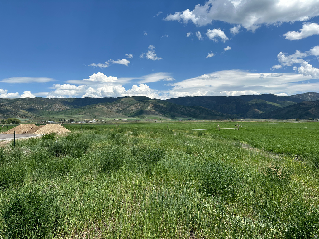 1  DIANE DR Grace, ID 83241