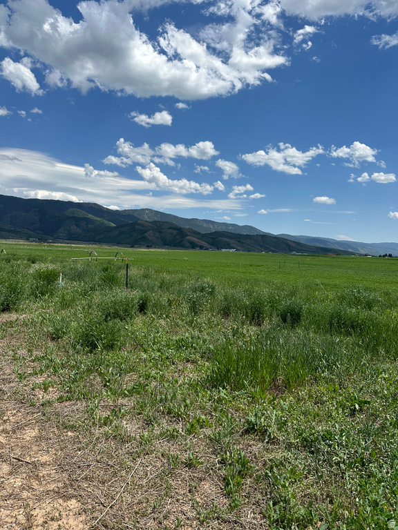 1  DIANE DR Grace, ID 83241