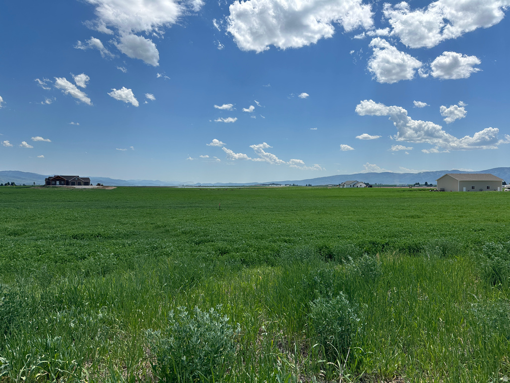 1  DIANE DR Grace, ID 83241