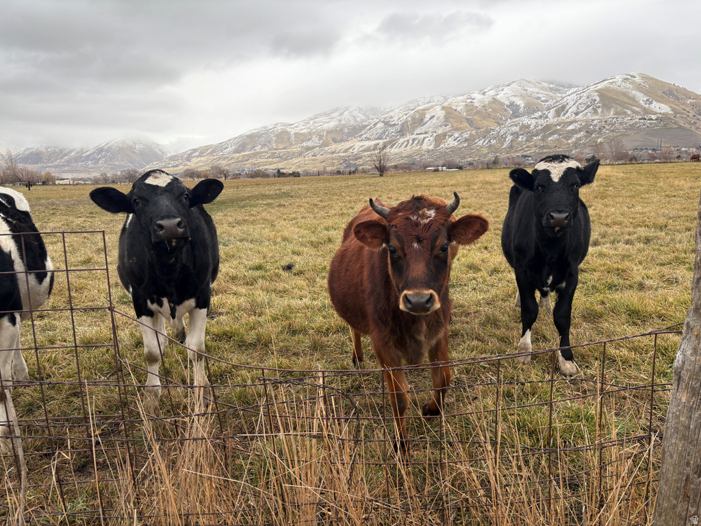 1410 W 2700 S Perry, UT 84302