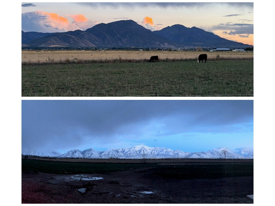 7498 S 4600 W Benjamin, UT 84660