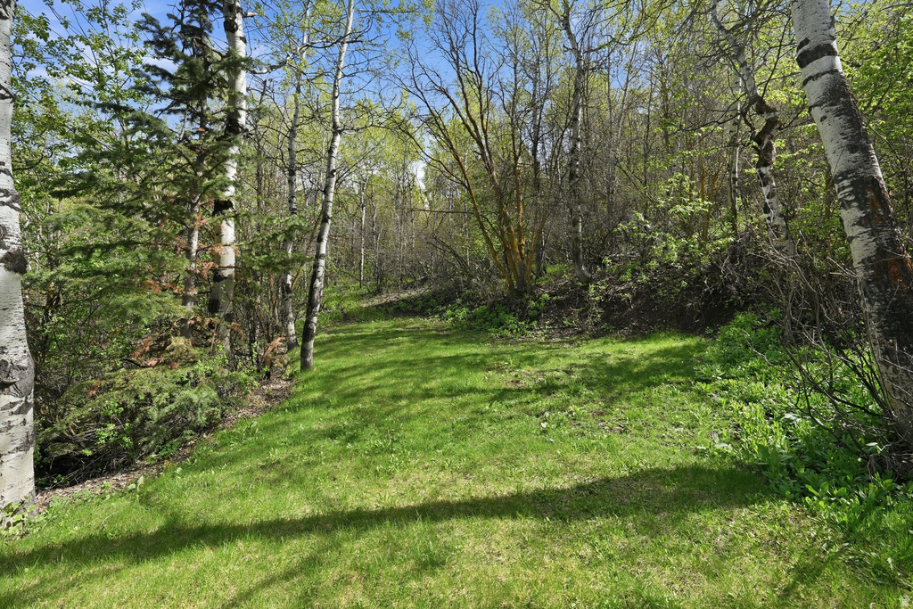 4205 HIDDEN RD Park City, UT 84098