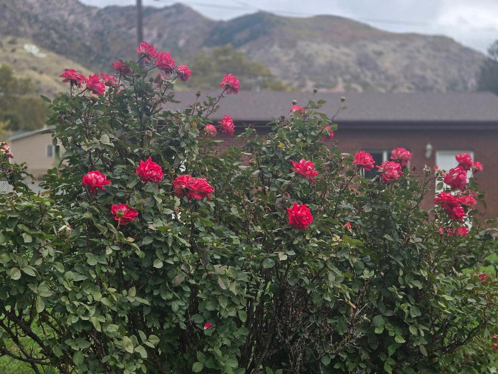 1358 CROSS ST Ogden, UT 84404