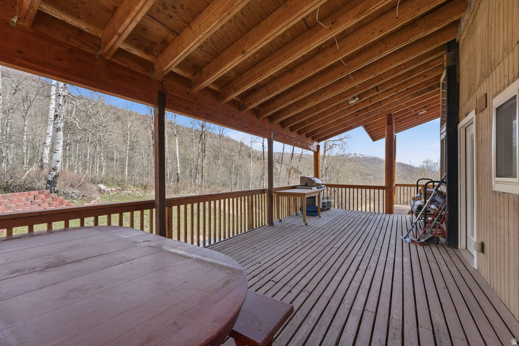 163 MOUNT AERIE UPPER LOOP Oakley, UT 84055