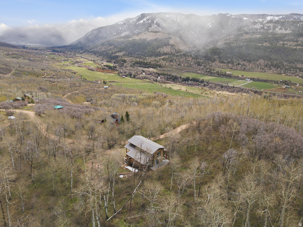 163 MOUNT AERIE UPPER LOOP Oakley, UT 84055