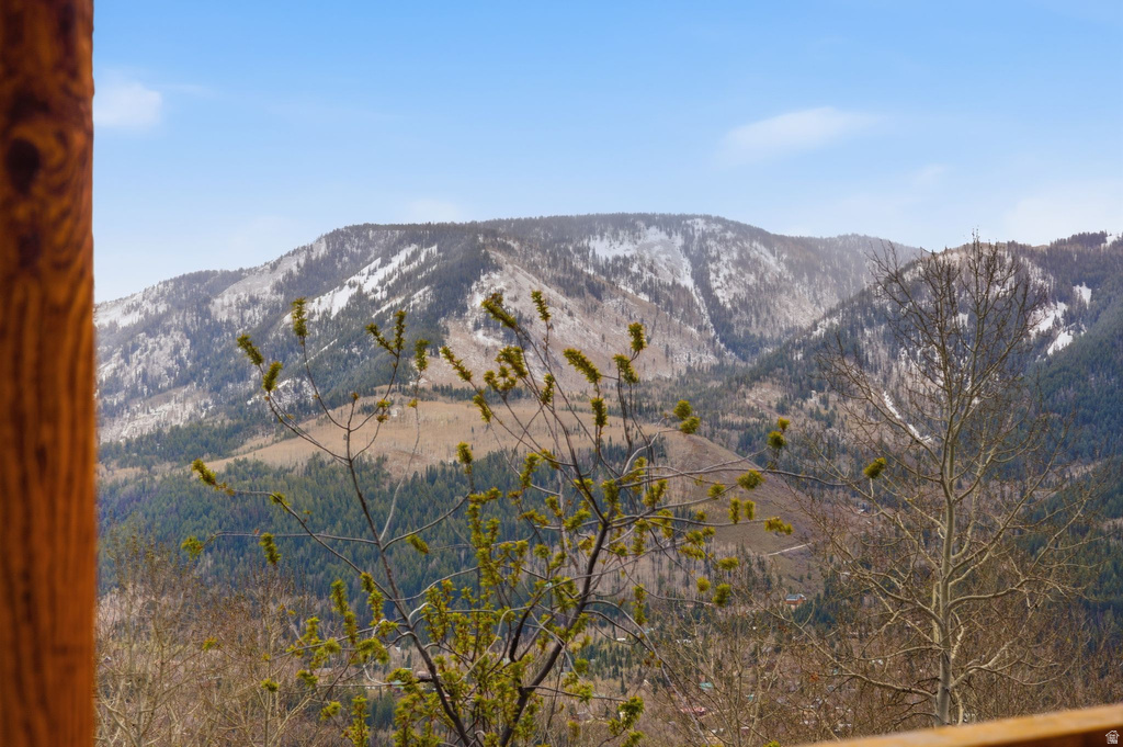 163 MOUNT AERIE UPPER LOOP Oakley, UT 84055