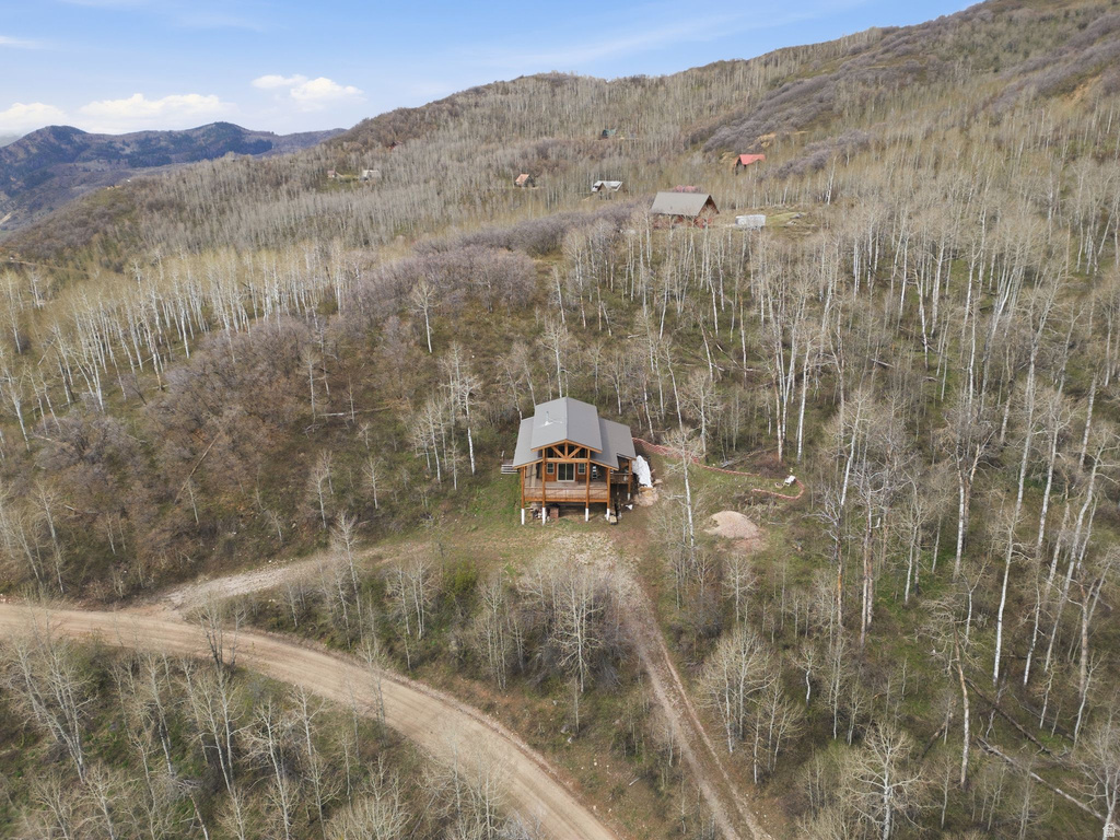 163 MOUNT AERIE UPPER LOOP Oakley, UT 84055