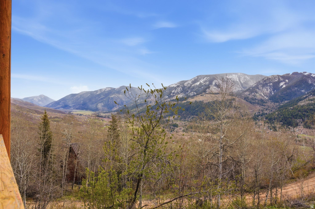 163 MOUNT AERIE UPPER LOOP Oakley, UT 84055