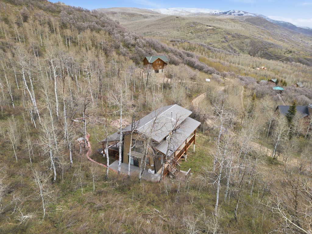 163 MOUNT AERIE UPPER LOOP Oakley, UT 84055