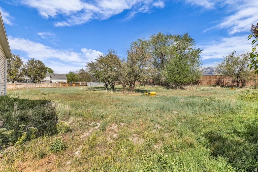 10705 S 300 E Sandy, UT 84070