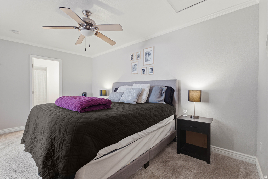 282 W 960 S #C Provo, UT 84601