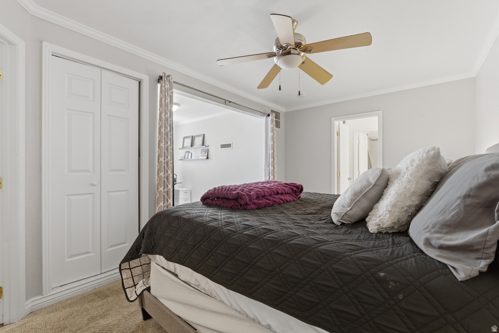 282 W 960 S #C Provo, UT 84601