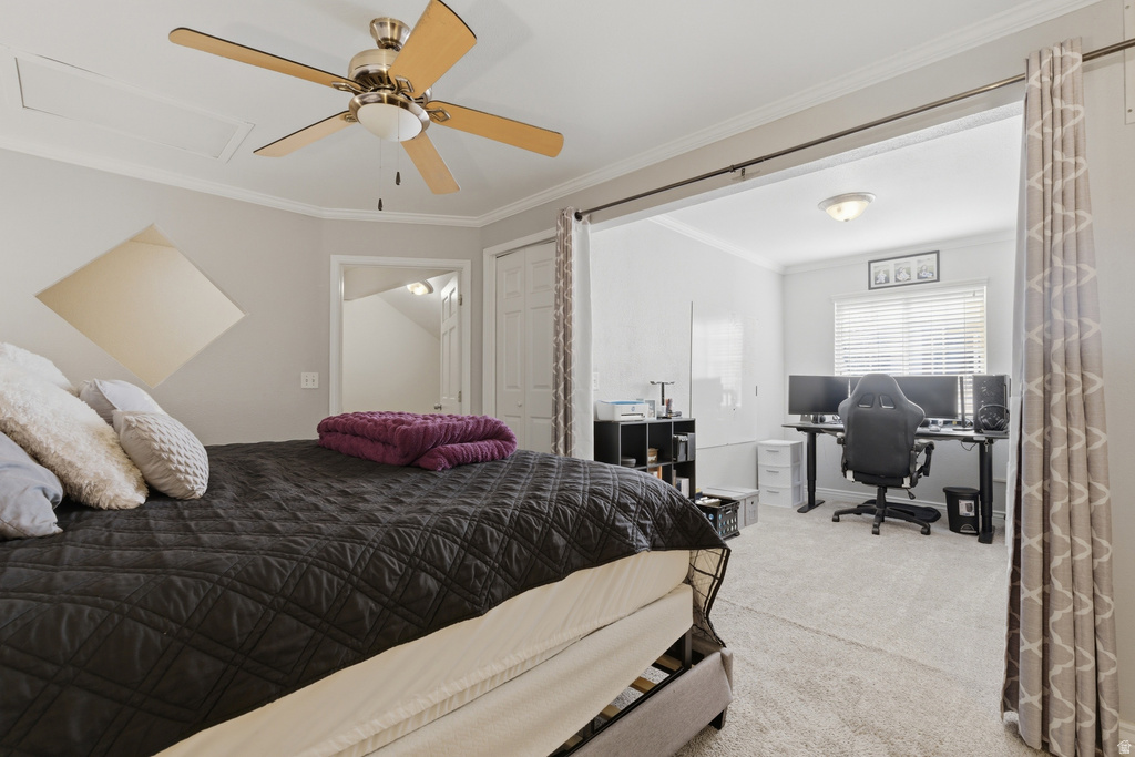 282 W 960 S #C Provo, UT 84601