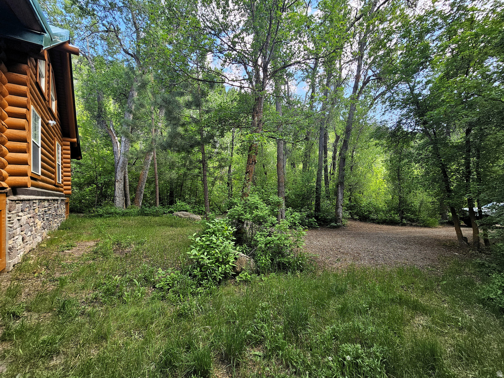 26 BIRCH CREEK DR #D26&28 Fairview, UT 84629